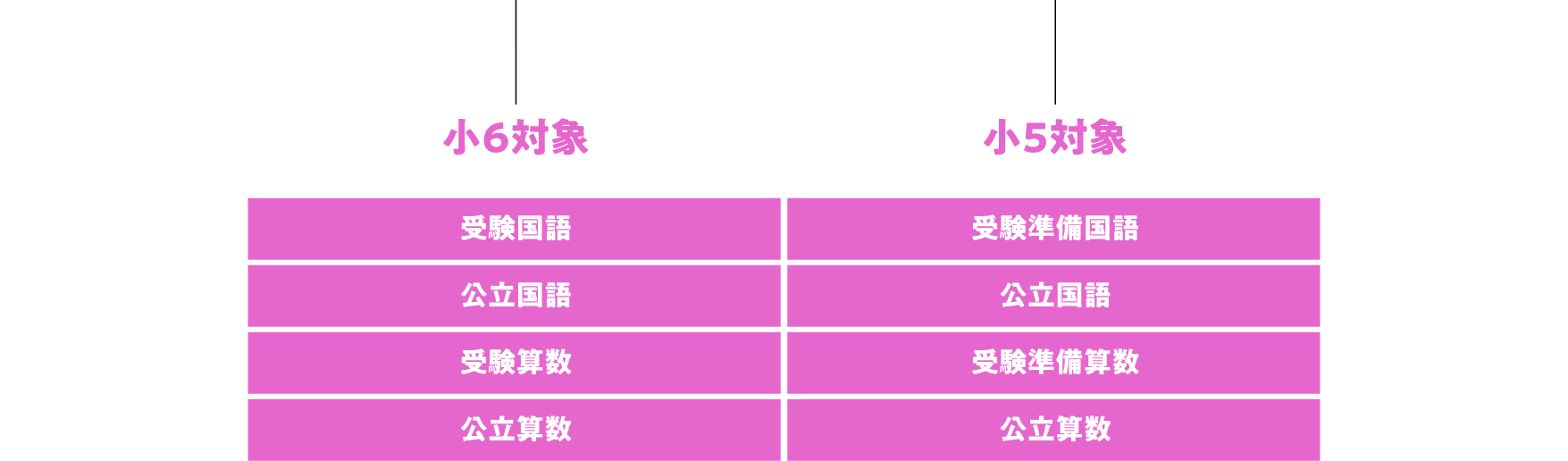 小5、6対象