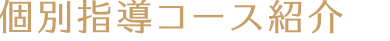 個別指導コース紹介